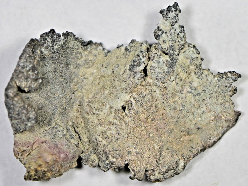 Native silver leaf 1 5 - g, 1.5